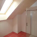 Gindl, Gaestehaus Gindl Und Pferdehof 팜스테이 *