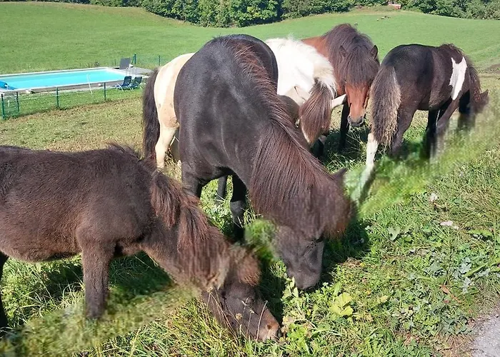 Farma Gindl, Gaestehaus Gindl Und Pferdehof *